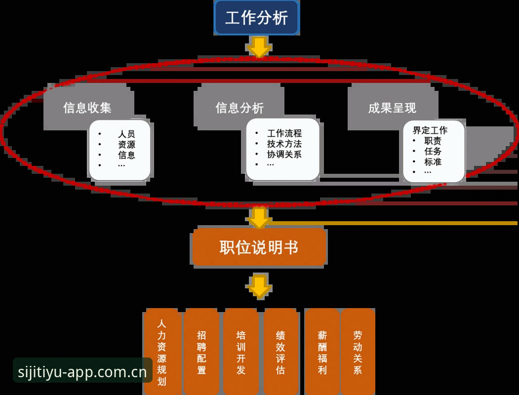 四季体育分析下载不了怎么办 6个实用步骤解决四季体育分析下载不了的问题——从根源入手恢复使用体验